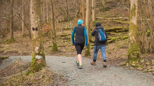 Two visitors dressed in winter outdoor clothing walk along a woodland path